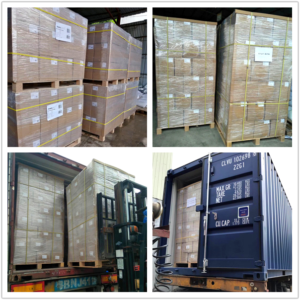 অ্যান্টি-স্ট্যাটিক শিল্ডিং ব্যাগ